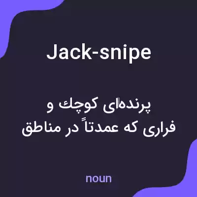 معنی jack-snipe به فارسی معنی jack-snipe به فارسی