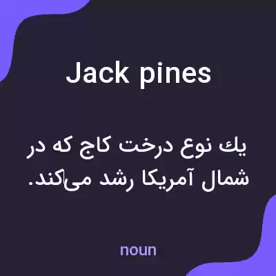 معنی jack pines به فارسی معنی jack pines به فارسی