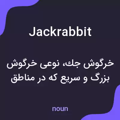 معنی jackrabbit به فارسی معنی jackrabbit به فارسی