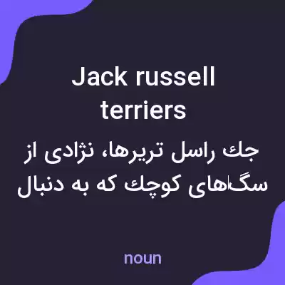 معنی jack russell terriers به فارسی معنی jack russell terriers به فارسی