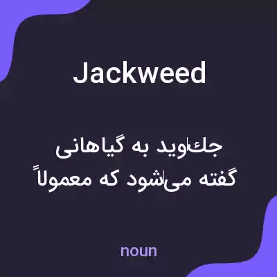 معنی jackweed به فارسی