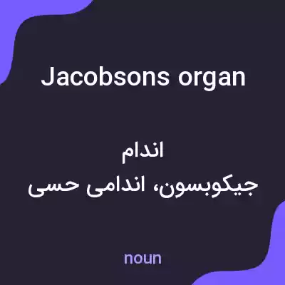 معنی jacobsons organ به فارسی