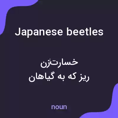 معنی japanese beetles به فارسی معنی japanese beetles به فارسی
