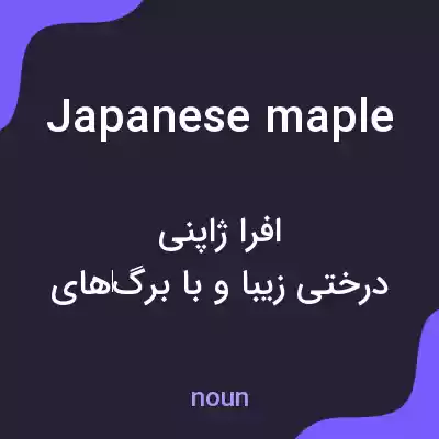 معنی japanese maple به فارسی معنی japanese maple به فارسی