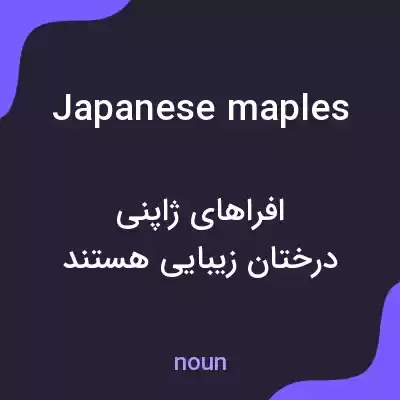 معنی japanese maples به فارسی معنی japanese maples به فارسی
