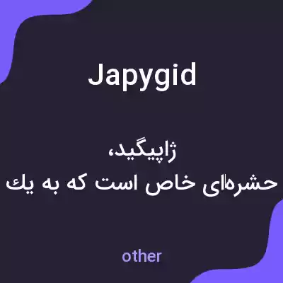 معنی japygid به فارسی معنی japygid به فارسی