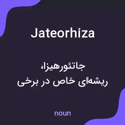 معنی jateorhiza به فارسی معنی jateorhiza به فارسی