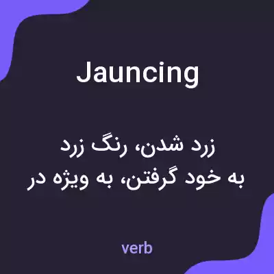 معنی jauncing به فارسی معنی jauncing به فارسی