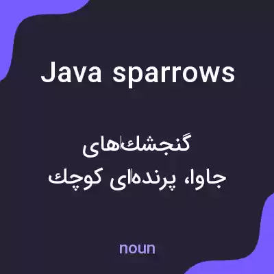معنی java sparrows به فارسی معنی java sparrows به فارسی