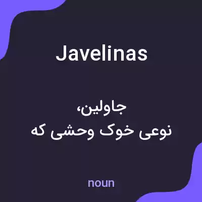 معنی javelinas به فارسی معنی javelinas به فارسی