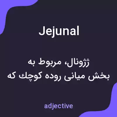 معنی jejunal به فارسی معنی jejunal به فارسی