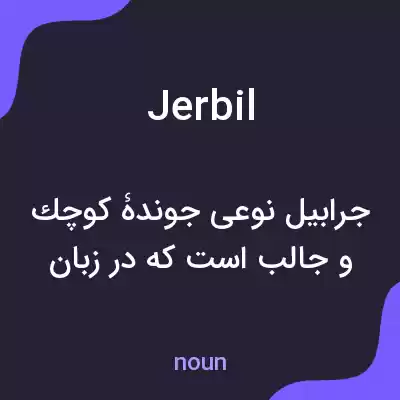 معنی jerbil به فارسی معنی jerbil به فارسی
