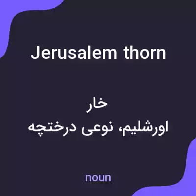 معنی jerusalem thorn به فارسی معنی jerusalem thorn به فارسی