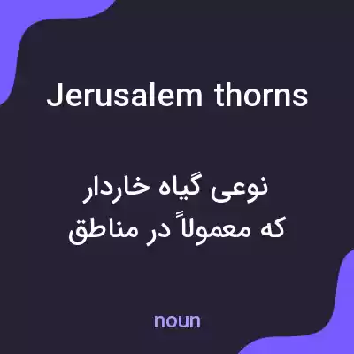 معنی jerusalem thorns به فارسی معنی jerusalem thorns به فارسی