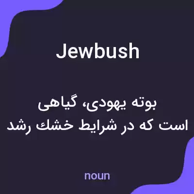 معنی jewbush به فارسی معنی jewbush به فارسی