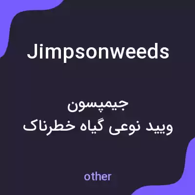معنی jimpson weeds به فارسی معنی jimpson weeds به فارسی