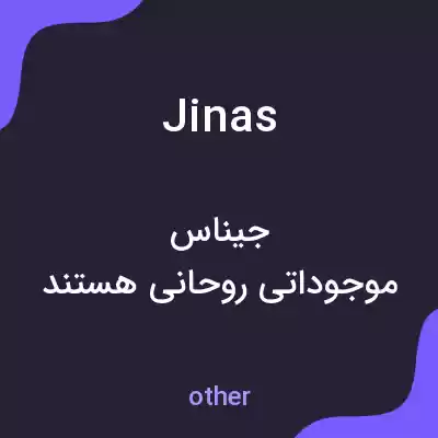 معنی jinas به فارسی معنی jinas به فارسی