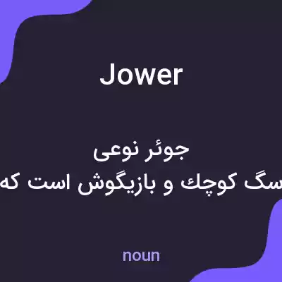 معنی jower به فارسی معنی jower به فارسی