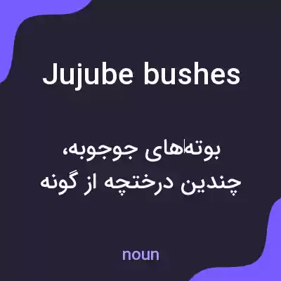 معنی jujube bushes به فارسی معنی jujube bushes به فارسی