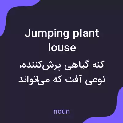 معنی jumping plant louse به فارسی معنی jumping plant louse به فارسی