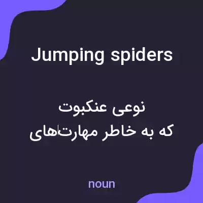 معنی jumping spiders به فارسی معنی jumping spiders به فارسی