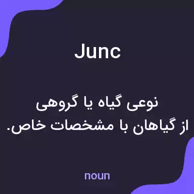 معنی junc به فارسی معنی junc به فارسی