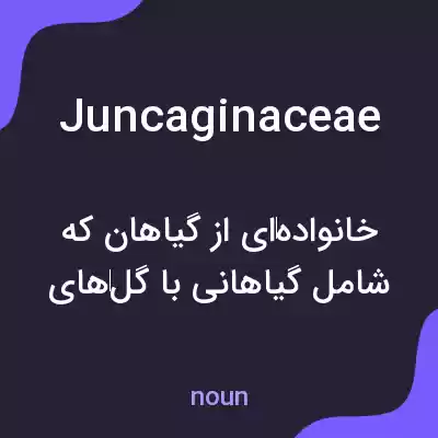 معنی juncaginaceae به فارسی معنی juncaginaceae به فارسی