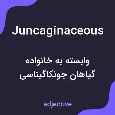 معنی juncaginaceous به فارسی معنی juncaginaceous به فارسی