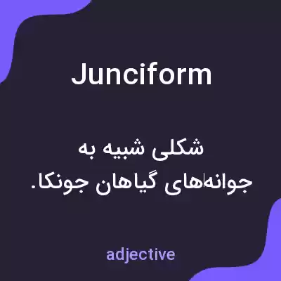معنی junciform به فارسی معنی junciform به فارسی