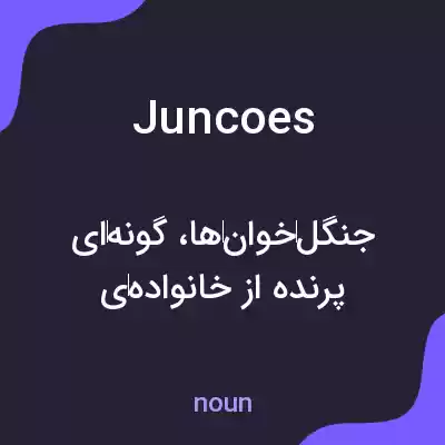 معنی juncoes به فارسی