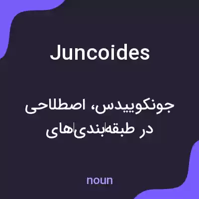 معنی juncoides به فارسی معنی juncoides به فارسی