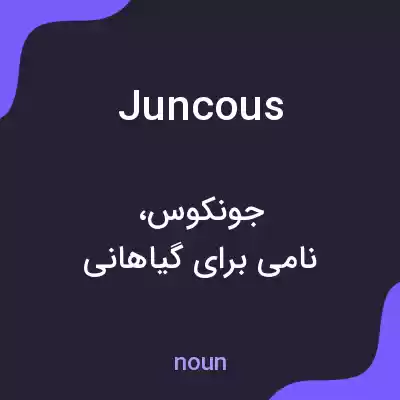 معنی juncous به فارسی معنی juncous به فارسی
