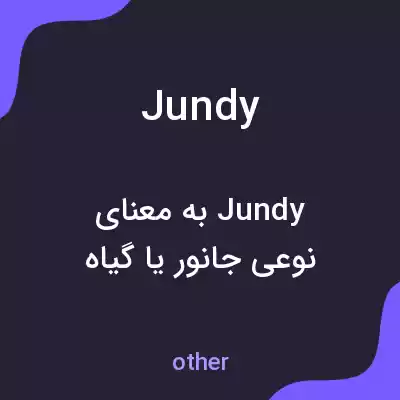 معنی jundy به فارسی معنی jundy به فارسی