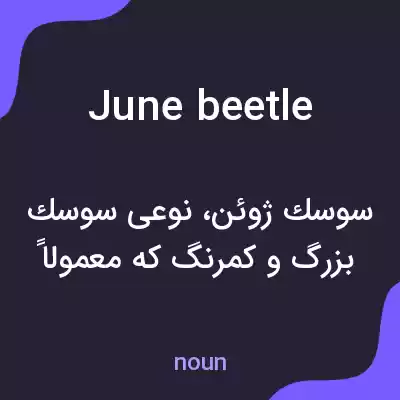 معنی june beetle به فارسی معنی june beetle به فارسی
