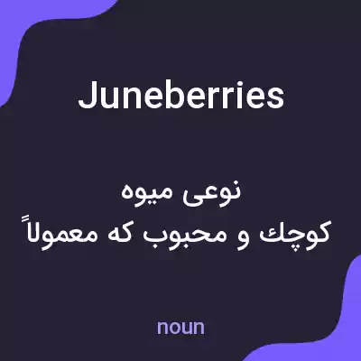 معنی juneberries به فارسی معنی juneberries به فارسی