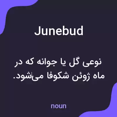 معنی junebud به فارسی معنی junebud به فارسی