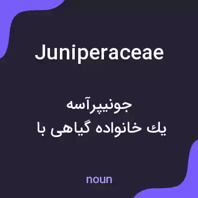معنی juniperaceae به فارسی معنی juniperaceae به فارسی