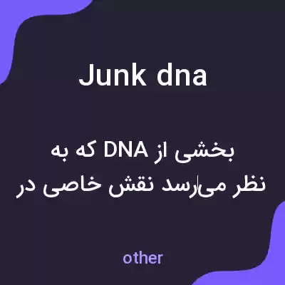 معنی junk dna به فارسی معنی junk dna به فارسی