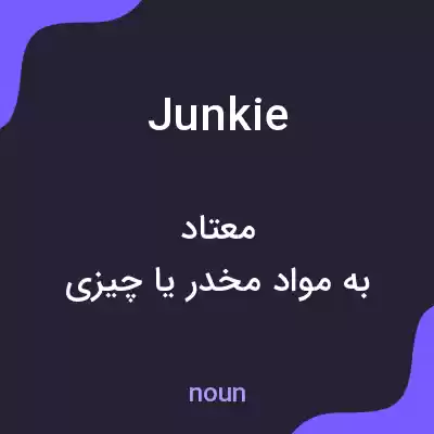 معنی junkie به فارسی معنی junkie به فارسی