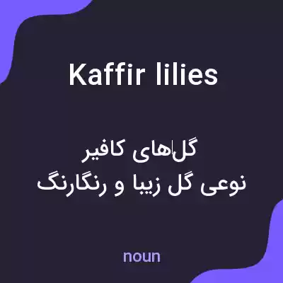 معنی kaffir lilies به فارسی معنی kaffir lilies به فارسی