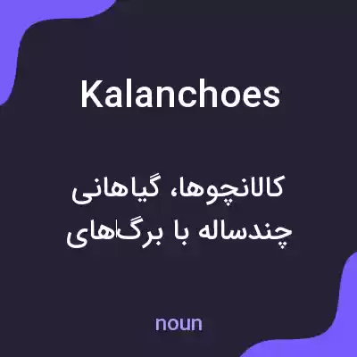 معنی kalanchoes به فارسی معنی kalanchoes به فارسی