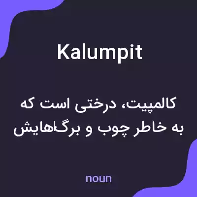 معنی kalumpit به فارسی معنی kalumpit به فارسی