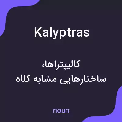 معنی kalyptras به فارسی معنی kalyptras به فارسی