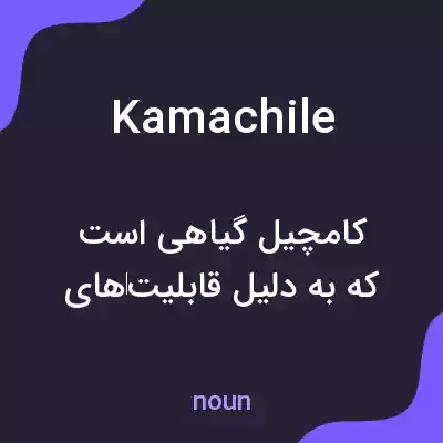 معنی kamachile به فارسی معنی kamachile به فارسی