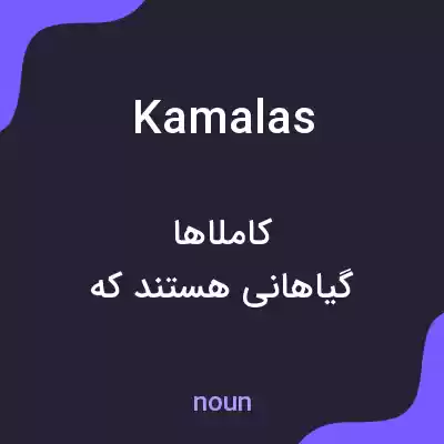 معنی kamalas به فارسی معنی kamalas به فارسی