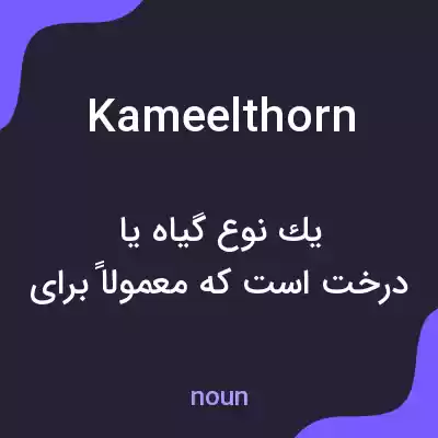 معنی kameelthorn به فارسی معنی kameelthorn به فارسی