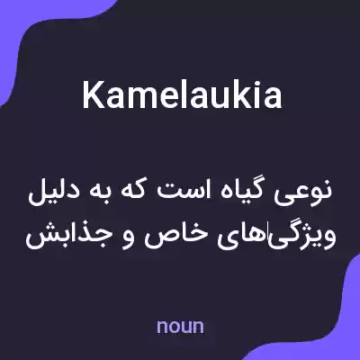 معنی kamelaukia به فارسی معنی kamelaukia به فارسی