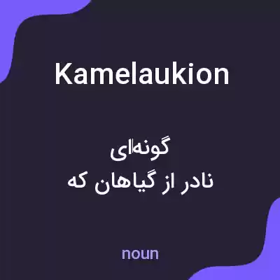 معنی kamelaukion به فارسی معنی kamelaukion به فارسی