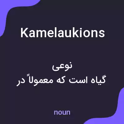 معنی kamelaukions به فارسی معنی kamelaukions به فارسی