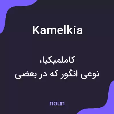 معنی kamelkia به فارسی معنی kamelkia به فارسی